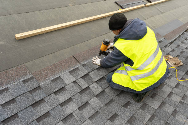 Best Roof Moss and Algae Removal  in Mobridge, SD